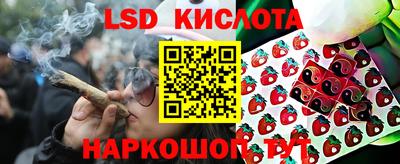 Альфа ПВП Малгобек